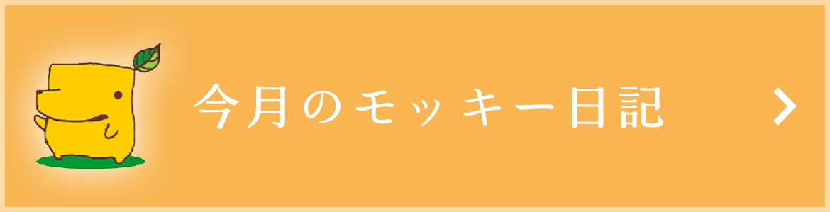 今月のモッキー日記